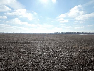 Property photo 16 - LAND AUCTION, 211+/- Acres offered in 3 Tracts